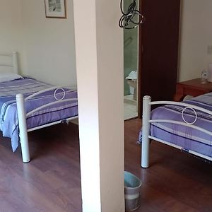 Habitación Superior con 2 Camas Individuales